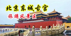 操我奶子，快进去啊，精液流出，啊，快操我视频中国北京-东城古宫旅游风景区